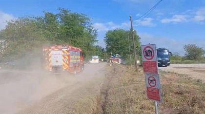 Un cioban a sărit în aer în timp ce mâna oile într-un poligon unde avea loc un exercițiu militar. Elicopterul SMURD intervine
