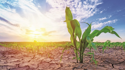 Sudul României intră într-o perioadă secetoasă, anunță meteorologii