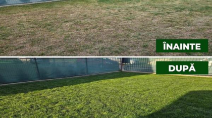 Gazonul tău e cu toane? Află cum fertilizarea foliară cu îngrășăminte lichide îl poate transforma