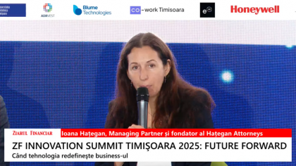 Ioana Haţegan, Haţegan Attorneys: Multe companii ajung să se blocheze din cauza lipsei competenţelor manageriale sau juridice. Firmele româneşti nu sunt nici acum obişnuite să apeleze la consultanţă proactivă
