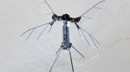 China a creat o dronă cât un țânțar, pentru misiuni militare secrete. Are chiar și aripi care se mișcă exact ca cele ale unei insecte