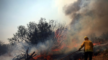 Babadag. Incendii de vegetație cuprind culturile de cereale