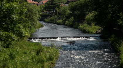 După aproape o lună, salinitatea apei din râul Târnava Mică începe să scadă