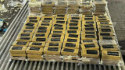 Captură de 132 de milioane de euro în Rusia. Ce au găsit autorităţile în containere cu banane aduse din America Latină