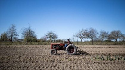 Fermierii să poată recupera 50% din investiţii pe o perioadă de 10 ani, fără plata de taxe şi impozite locale la buget: pachetul PSD pentru agricultură