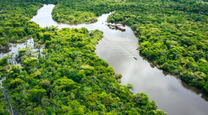 Informații interesante și curiozități despre Jungla Amazoniană