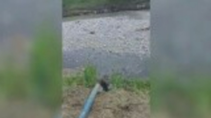 Poluare la Breaza. Ce amendă a primit societatea de apă și canalizare pentru deversări în râul Prahova