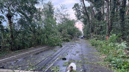 Singura intrare în cartierul Greenfield din Sectorul 1, complet blocată de copaci și stâlpi căzuți după furtuna de joi seara
