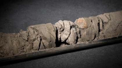 Un muzeu din SUA a descoperit o fosilă de dinozaur chiar sub propria parcare: Osul găsit din întâmplare are 70 de milioane de ani