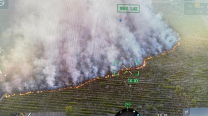 Incendiu uriaș în Teleorman: Zeci de hectare de vie și livezi au fost distruse