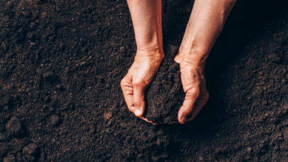 Guvernatorul statului New Jersey a semnat legea compostării umane ca alternativă la înmormântare