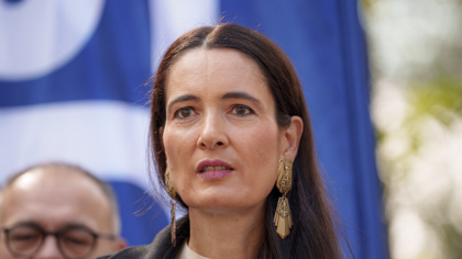Clotilde Armand susține că „rețeaua Ciolacu – Docuz s-a conectat la fondurile pentru copiii din S1”