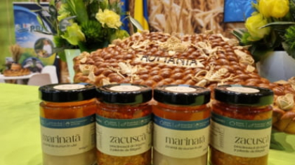 Plafonarea adaosului comercial: o „frecție la picior de lemn” care face mai mult rău decât bine. „Va duce la dispariția din piață a foarte multor companii românești”