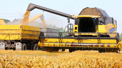 Afacerile traderului de cereale Promat Comimpex din Satu Mare, controlat de grupul elveţian Ameropa, au scăzut cu 32,2% în 2024, ajungând la 913 mil. lei