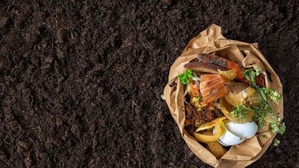 Deșeurile alimentare: O soluție biodegradabilă pentru criza plasticului?