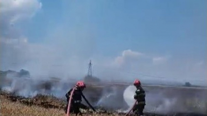 Incendiu de proporții într-un lan de grâu lângă DN1, după ce o mașină a luat foc. Traficul, afectat
