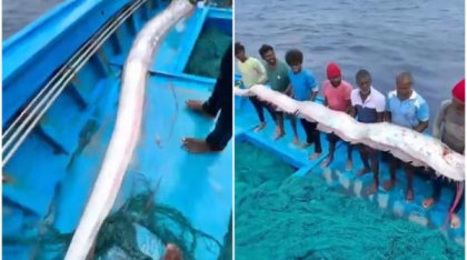 Mai mulți pescari au prins „peștele apocalipsei”, s-au fotografiat cu el și acum sunt îngroziți că un dezastru îi va lovi curând