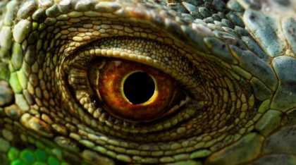 O femeie a început să îi vadă pe oameni cu fețe de dragoni, încă din copilărie. După zeci de ani, medicii și-au dat seama ce are