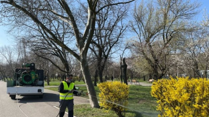Cum se curăță Bucureștiul de căpușe. Biolog: „Pulverizăm cu atomizoare și din mașini special echipate”