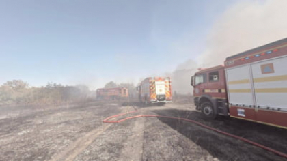 Incendiu violent la Glina. Există riscul ca flăcările să se extindă la locuințe. Autoritățile au emis mesaj Ro-Alert