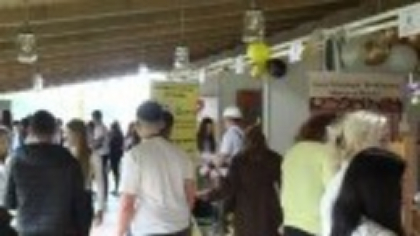Antreprenori la 16 ani. Un nou proiect de lege le-ar putea permite adolescenților să își deschidă firme de exercițiu