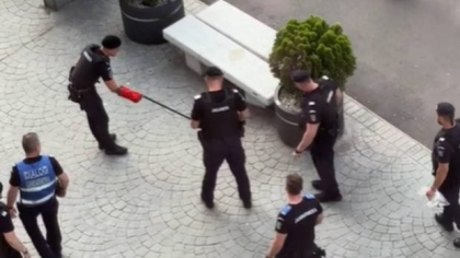 De câți polițiști este nevoie pentru a prinde un șarpe pe Calea Victoriei? Subiectul a stârnit un val de ironii: „Trebuia să vină antitero”