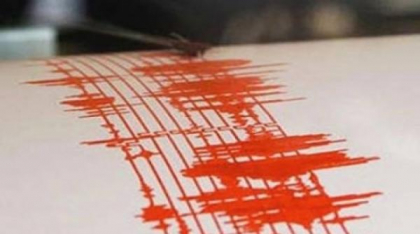 Cutremur în Vrancea. Ce magnitudine a a vut seismul