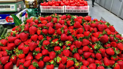 Trucul simplu prin care puteți menține căpșunile proaspete până la 10 zile. Cum vă puteți bucura de delicioasele fructe mai mult timp