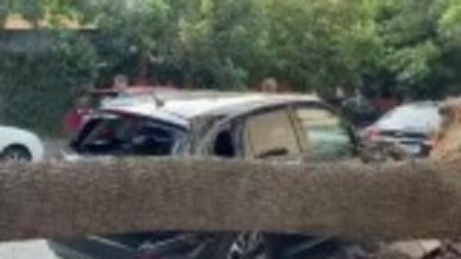 Furtuna violentă din București a doborât 359 de copaci. Aveau rădăcinile compromise, sufocate de asfalt, spun specialiștii