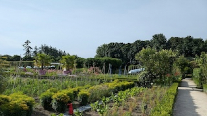 Erbicide de cea mai bună calitate – soluția eficientă pentru o cultură sănătoasă