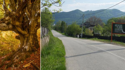 Comuna din România care are un traseu tematic nou, prin Munții Făgăraș: Drumeții vor avea „o experiență diferită” pe poteca de 3,7 km