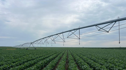 JD Agro Cocora, afacere deţinută de investitori danezi, a investit 2,5 mil. euro într-un sistem de irigaţii pentru ferma din Ialomiţa, care va uda 1.000 ha cultivate cu soia şi porumb
