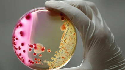 O nouă bacterie, descoperită la bordul stației spațiale chineze Tiangong