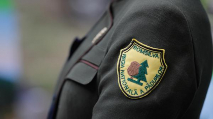 Romsilva rămâne fără conducere de mâine. Ministrul Mediului avertizează: „Activitatea riscă să rămână în aer”