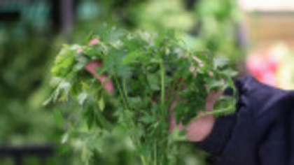 Alertă alimentară: un lot de leuştean toxic a fost retras de la vânzare. Substanța periculoasă poate cauza afecțiuni grave