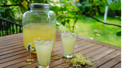 Socată delicioasă care amintește de gustul copilăriei. Trucul Gherghinei Stancu