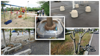 Un oraș cu rădăcinile sufocate: criza spațiului verde în București