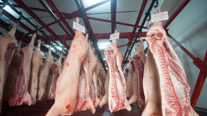 80% din carnea de porc din România vine din import, avertizează ANPC