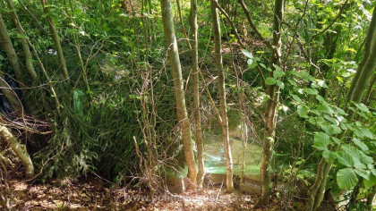 Captură de peste 1,7 milioane de lei. Ce au descoperit polițiștii în coletele ascunse într-o pădure din Suceava