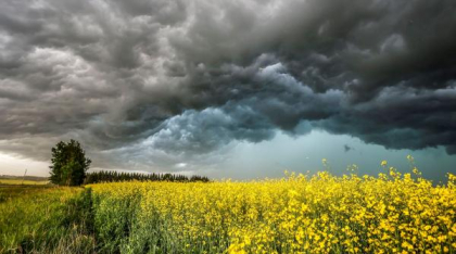 Alertă meteo! Ploi torențiale și vânt puternic în acest weekend