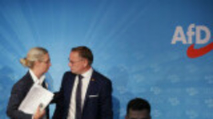 Serviciile secrete germane desemnează AfD drept entitate extremistă de dreapta confirmată
