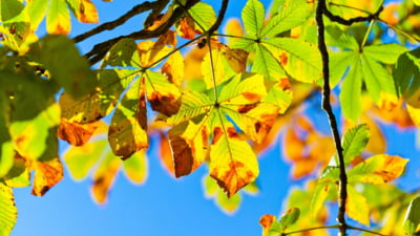 Cum va fi vremea astăzi, 22 septembrie. Regiunea unde se anunță temperaturi de până la 32 de grade