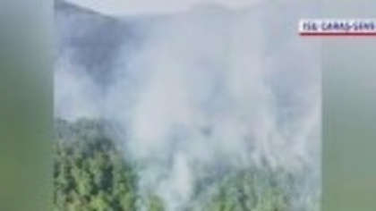 Incendiu de amploare pe dealurile din Caraș-Severin: Pompierii luptă să salveze casele din apropiere