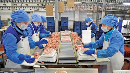 Analiză ZF. „Zoom in“ pe industria cărnii, un sector dominat de afaceri antreprenoriale: afacerile s-au dublat în cinci ani, profitul la fel. Cât vine din inflaţie, cum se văd investiţiile şi ce urmează într-un sector cu cinci grupuri antreprenoriale de peste 1 mld.lei
