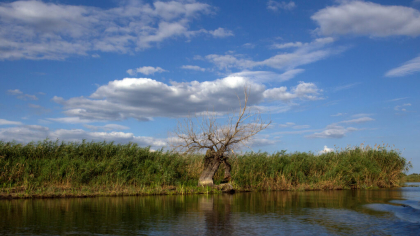 Căutări pentru un bărbat dispărut în Delta Dunării. Două ambarcațiuni, dislocate în zonă