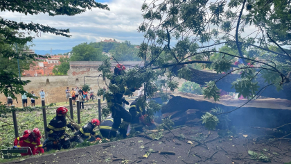 Tragedie în Brașov! Un tânăr în vârstă de 27 de ani a murit după ce un copac a căzut peste el