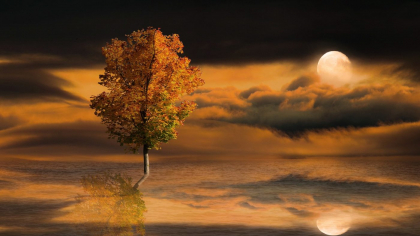 Horoscop WEEKEND 10-12 octombrie 2025: Ce vești bune de aduce finalul săptămânii. Venus, Micul Benefic, se aliniază cu Jupiter, Marele Benefic, aducând noroc, iubire, inspirație
