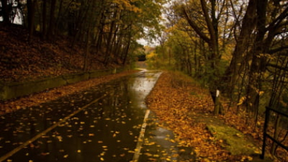 Cum va fi vremea la final de septembrie. Zonele în care sunt așteptate ploi