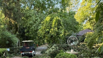 Pagube la Grădina Zoologică București. Primăria transmite că s-a decis închiderea temporară