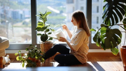 Planta care înfrumusețează casa, dar atrage cel mai mare ghinion financiar. E foarte posibil să o ai și tu